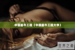 中国最牛工程（中国最牛工程大学）