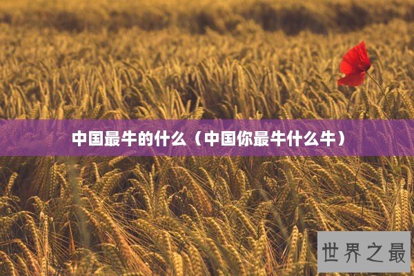 中国最牛的什么（中国你最牛什么牛）