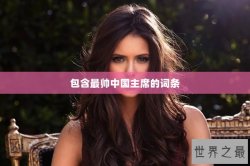 包含最帅中国主席的词条