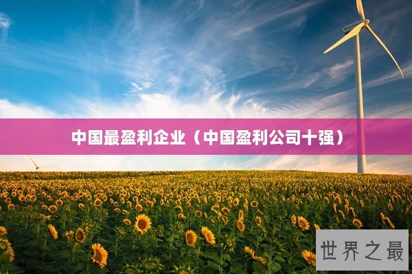 中国最盈利企业（中国盈利公司十强）