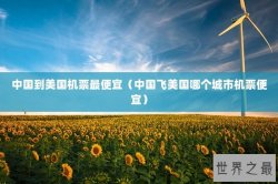 中国到美国机票最便宜（中国飞美国哪个城市机票便宜）