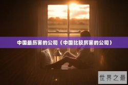 中国最历害的公司（中国比较厉害的公司）