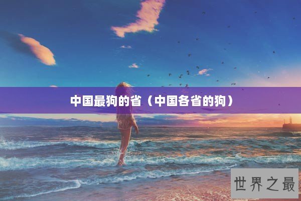 中国最狗的省（中国各省的狗）