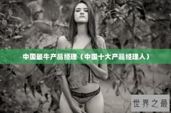 中国最牛产品经理（中国十大产品经理人）