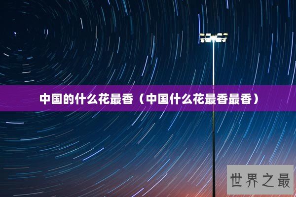 中国的什么花最香（中国什么花最香最香）
