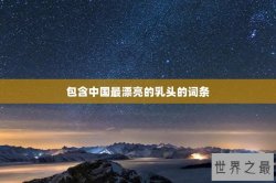 包含中国最漂亮的乳头的词条
