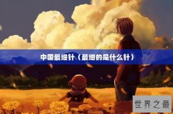 中国最细针（最细的是什么针）