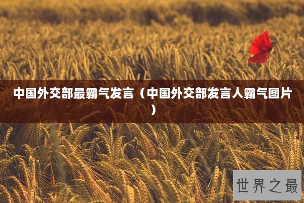 中国外交部最霸气发言（中国外交部发言人霸气图片）