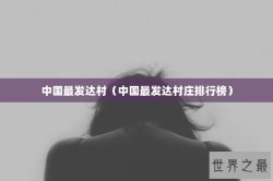 中国最发达村（中国最发达村庄排行榜）