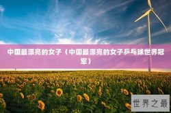 中国最漂亮的女子（中国最漂亮的女子乒乓球世界冠军）