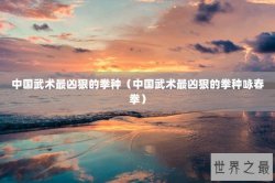 中国武术最凶狠的拳种（中国武术最凶狠的拳种咏春拳）