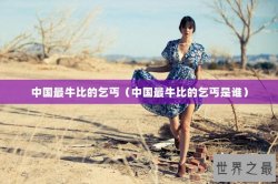 中国最牛比的乞丐（中国最牛比的乞丐是谁）