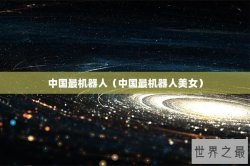 中国最机器人（中国最机器人美女）