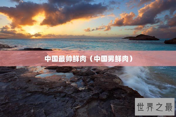 中国最帅鲜肉（中国男鲜肉）