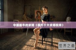 中国最牛的求婚（国外十大求婚视频）