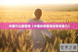 中国什么最值钱（中国的钱值钱吗排名第几）