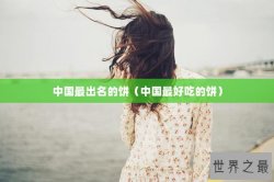 中国最出名的饼（中国最好吃的饼）