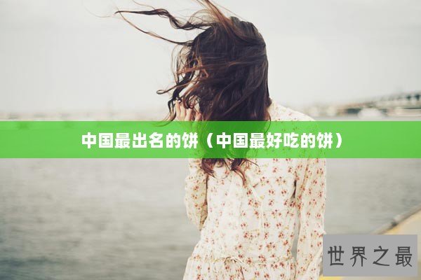 中国最出名的饼(中国最好吃的饼) 中国最出名的饼(中国最好吃的饼)