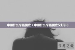 中国什么车最便宜（中国什么车最便宜又好开）