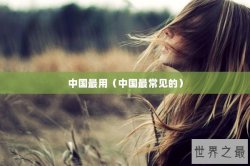 中国最用（中国最常见的）