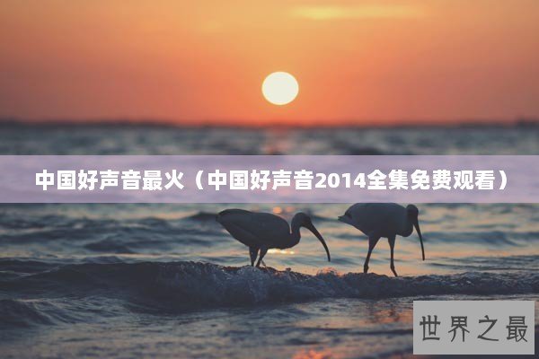 中国好声音最火（中国好声音2014全集免费观看）