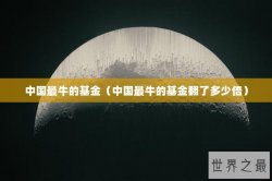 中国最牛的基金（中国最牛的基金翻了多少倍）