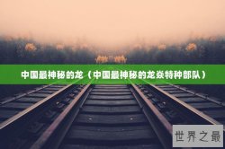 中国最神秘的龙（中国最神秘的龙焱特种部队）