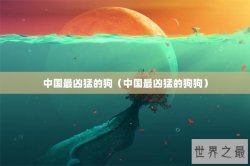 中国最凶猛的狗（中国最凶猛的狗狗）