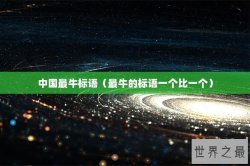 中国最牛标语（最牛的标语一个比一个）