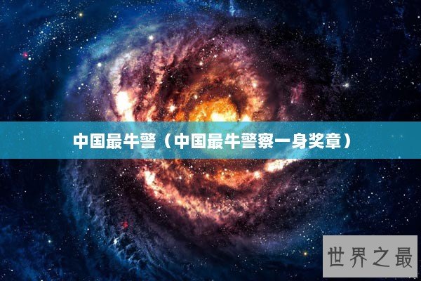 中国最牛警（中国最牛警察一身奖章）