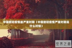 中国新冠疫情最严重时期（中国新冠疫情严重时期是什么时候）