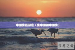 中国化最彻底（化中国和中国化）