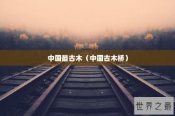中国最古木（中国古木桥）