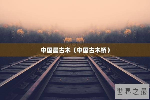 中国最古木（中国古木桥）