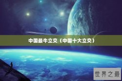 中国最牛立交（中国十大立交）