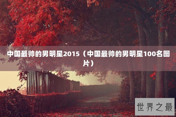 中国最帅的男明星2015（中国最帅的男明星100名图片）