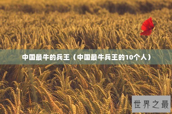 中国最牛的兵王（中国最牛兵王的10个人）