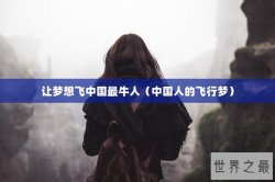 让梦想飞中国最牛人（中国人的飞行梦）