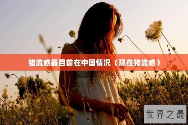 猪流感最目前在中国情况（现在猪流感）