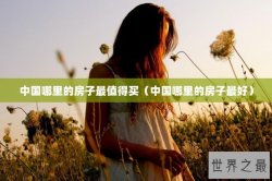 中国哪里的房子最值得买（中国哪里的房子最好）