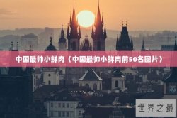 中国最帅小鲜肉（中国最帅小鲜肉前50名图片）