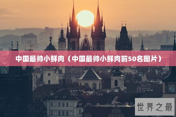 中国最帅小鲜肉（中国最帅小鲜肉前50名图片）