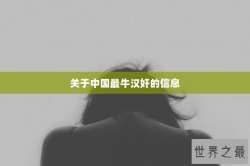 关于中国最牛汉奸的信息