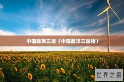 中国最顶三层（中国最顶三层楼）