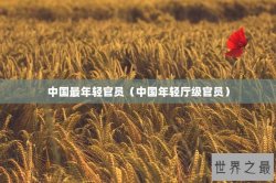 中国最年轻官员（中国年轻厅级官员）