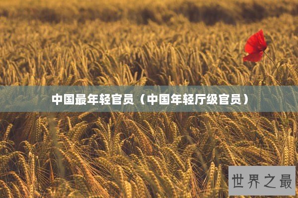 中国最年轻官员（中国年轻厅级官员）