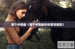 整个中国最（整个中国最好的整容医院）