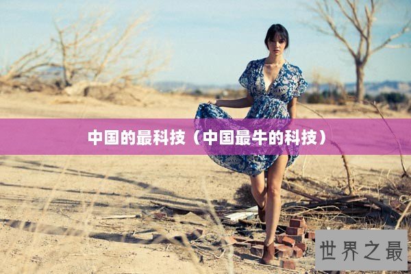 中国的最科技（中国最牛的科技）