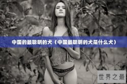 中国的最聪明的犬（中国最聪明的犬是什么犬）