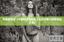中国最刺绣（中国刺绣是在布上以针代笔以线晕色的艺术）